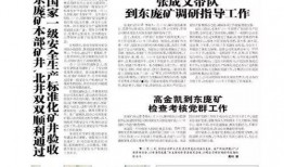 感恩节最新爆料新闻稿件,揭秘节日背后的惊人真相