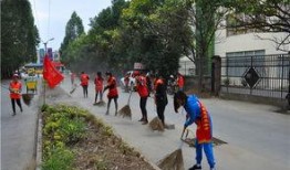 莆田东海镇爆料案件最新,真相渐明，疑云散去