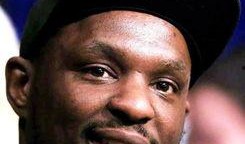 怀特最新爆料约书亚,约书亚惊人内幕曝光