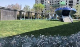 太原红星天润最新爆料事件,揭秘事件背后真相